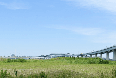 気を付けよう！自転車事故に遭いやすい・転倒しやすい場所