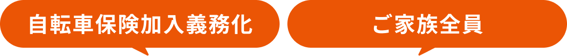 自転車義務化|ご家族全員